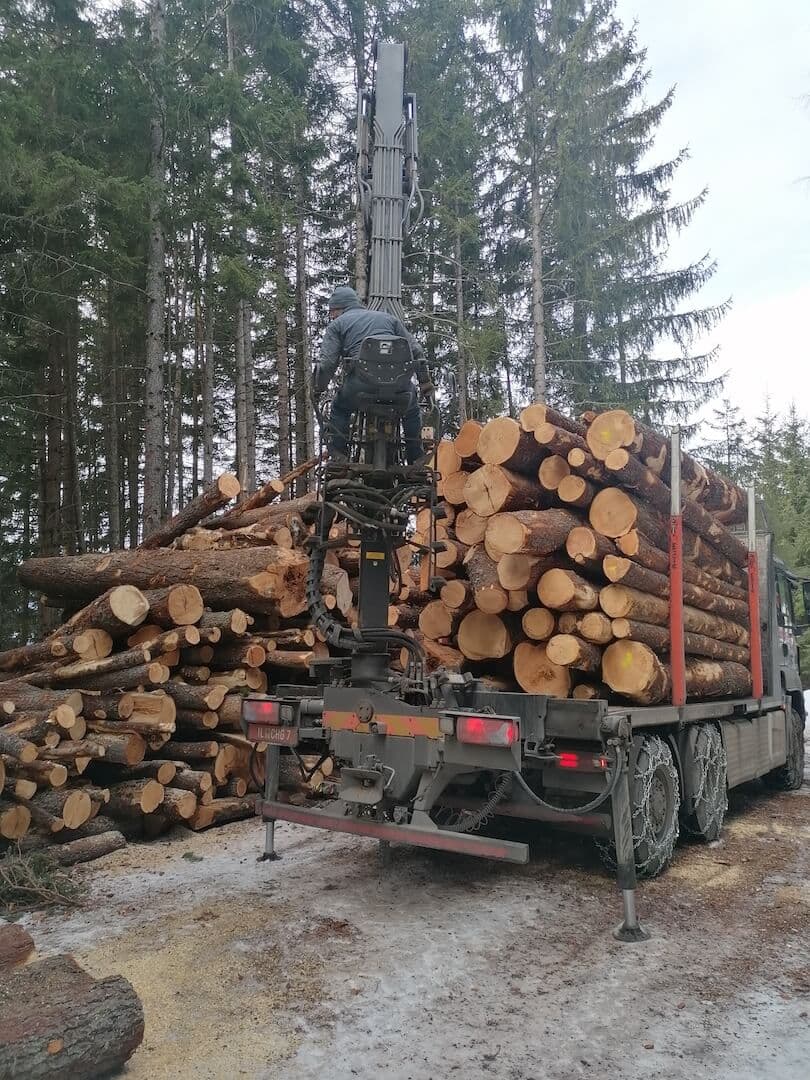 Holztransport aus dem Wald